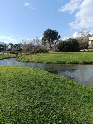 Property grounds - דירה פרטית+ חצר חיצונית דירה חמודה לזוג
נחל אמיתי זורם בחצר עם פינת ישיבה מקסימה (הגושרים)