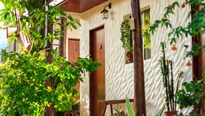A rustic building with a wooden door, a bench, and potted plants. - Pousada Jardim da Nova Era (Alto Paraíso de Goiás)