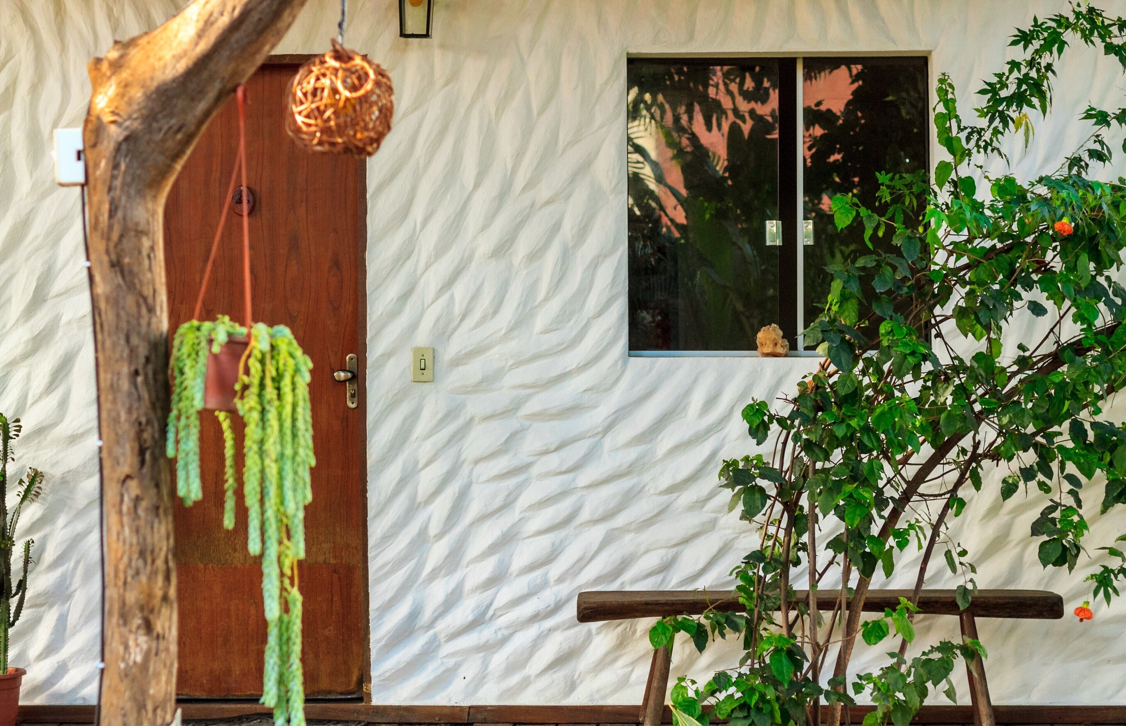 A rustic wooden door with a hanging plant, a textured wall, and a window with a view of greenery.