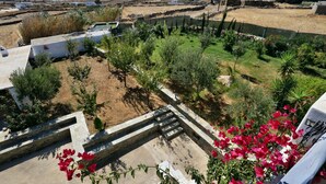 A residential area with a paved pathway, a small pool, and surrounding greenery.