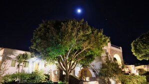 A building with a large tree in front, a moon in the sky, and a well-lit exterior.
