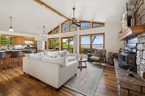 Télévision, cheminée, lecteur de DVD, livres