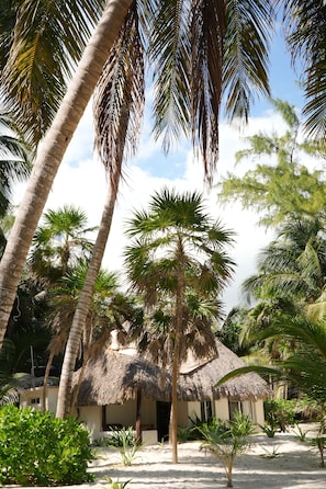 Cabin, phòng tắm riêng, quang cảnh bãi biển | 1 phòng ngủ, bộ trải giường