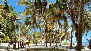 Une piscine entourée de palmiers, une terrasse en bois et une vue sur la plage.