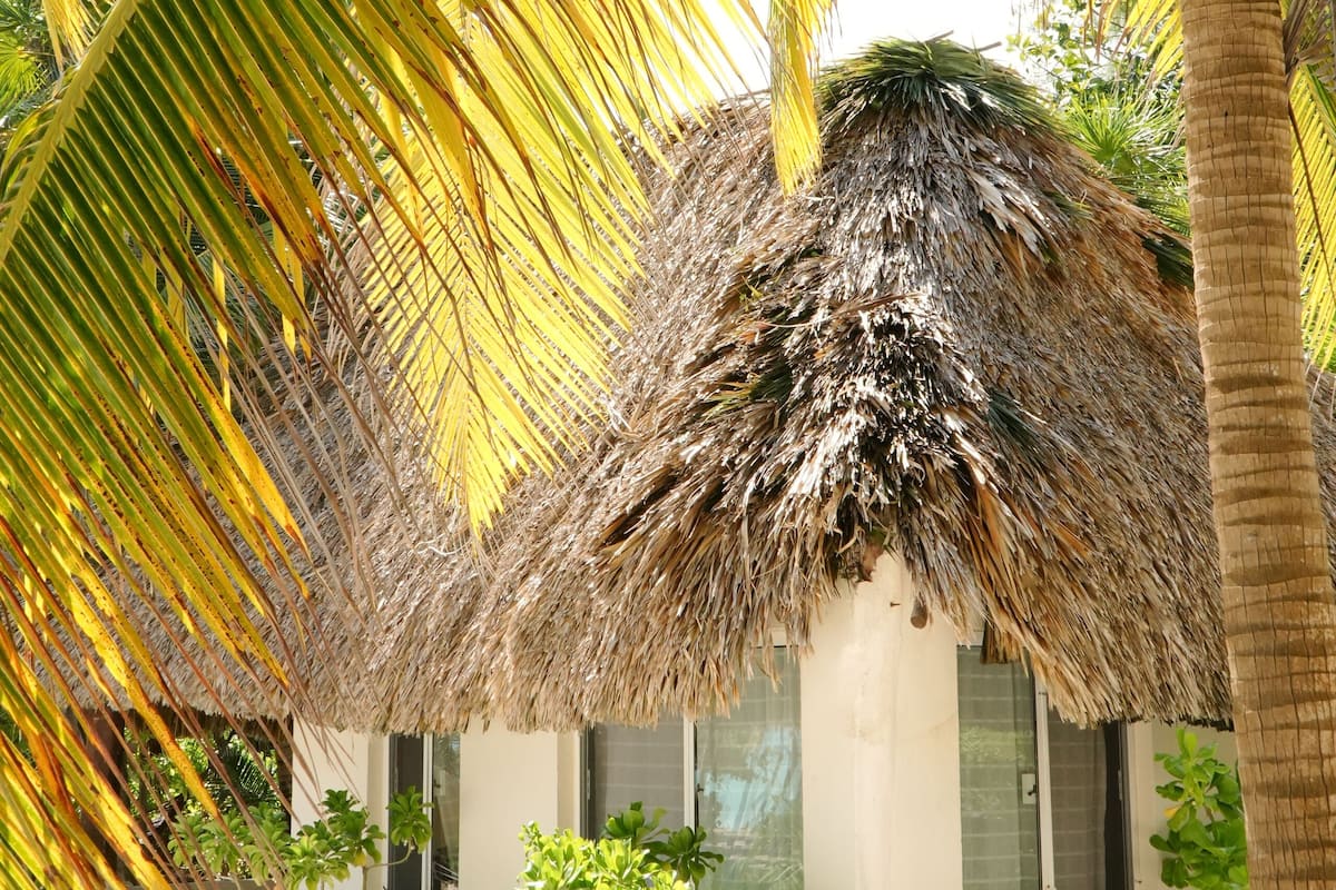 Cabin, Private Bathroom, Beach View | Bed sheets