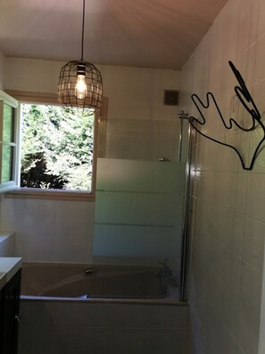 Combined shower/tub, hair dryer