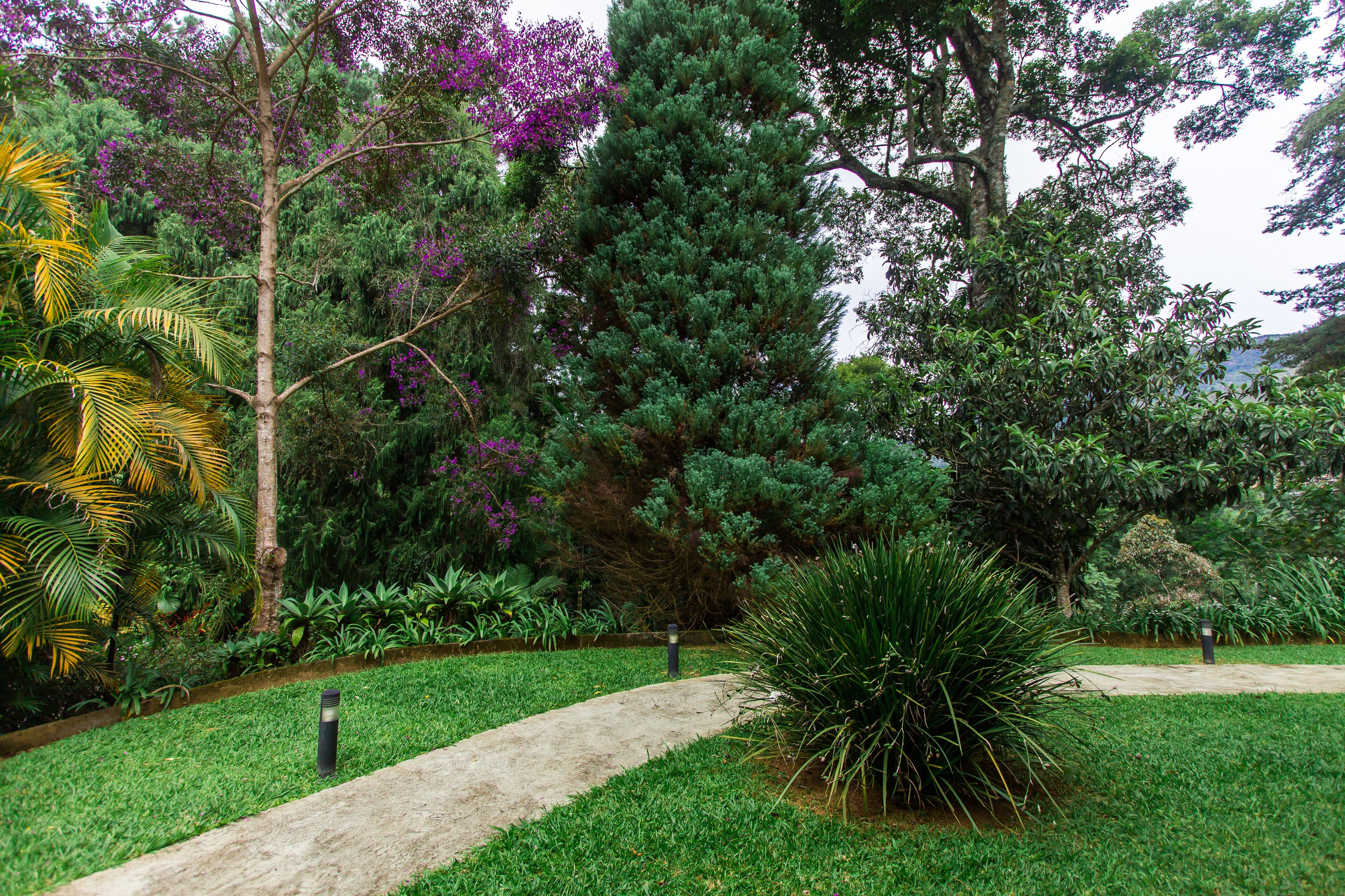 Um jardim com um caminho de concreto, diferentes tipos de árvores e grama bem cuidada.