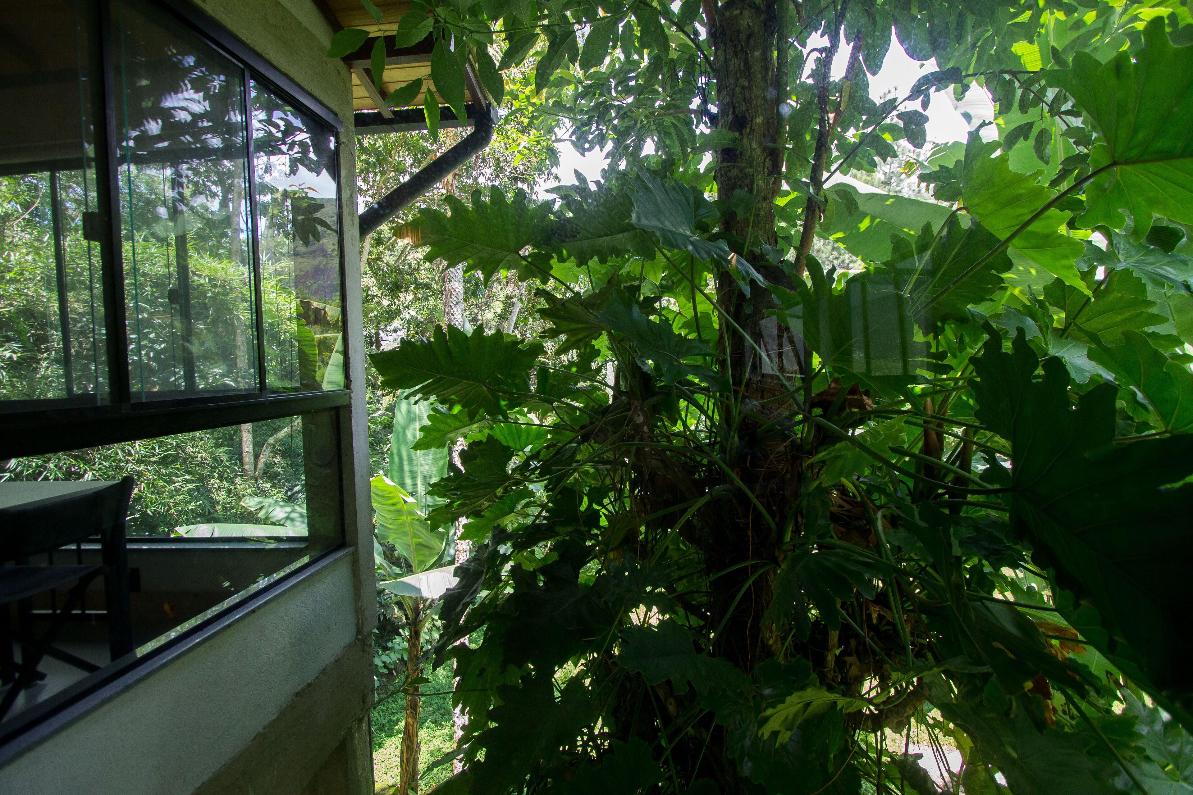 Quarto com uma grande janela com vista para um jardim exuberante.