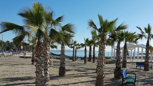 A sandy beach with palm trees and a gazebo in the background.