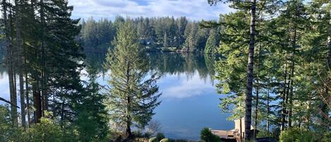 A serene lakeside view with dense forest and a clear sky.