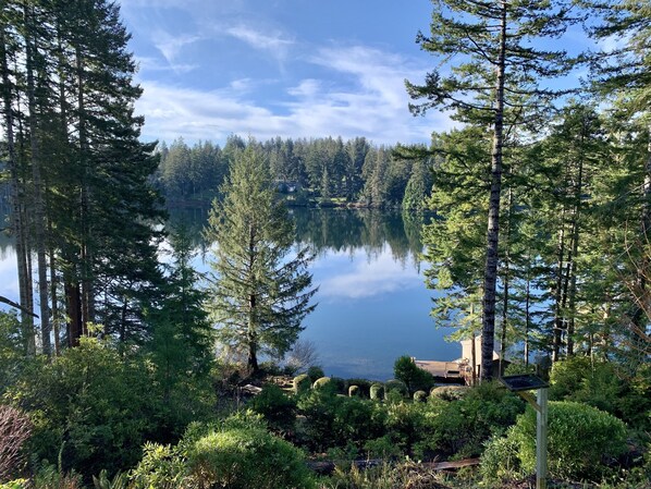 A serene lakeside view with dense forest and a clear sky.