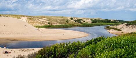 Vlak bij het strand