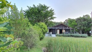 Un chalet rustique doté d’un porche, entouré d’une végétation luxuriante et d’un champ verdoyant.