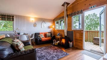 TV, fireplace, DVD player