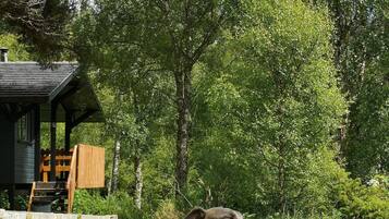 Enceinte de lâhĂ©bergement