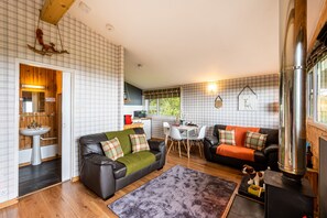 Télévision, cheminée, lecteur de DVD