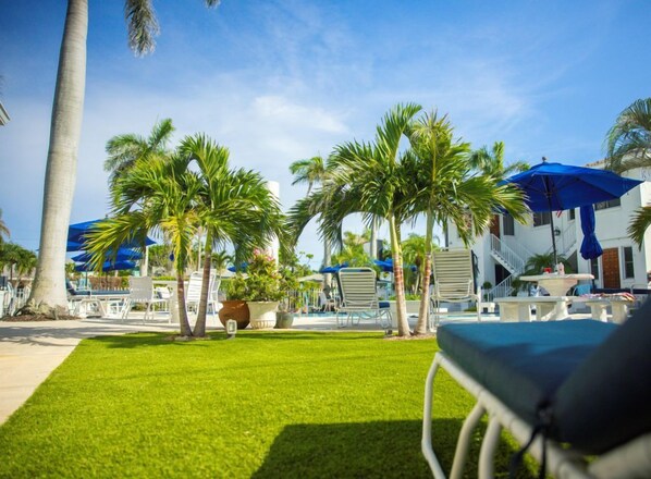 Un espace aménagé au bord de la piscine, avec des palmiers, des chaises longues et un parasol bleu.