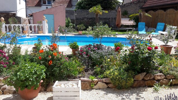 A pool surrounded by potted plants and a stone wall.