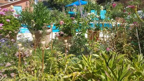 A garden with various plants and flowers, a large pot, and a blue umbrella.