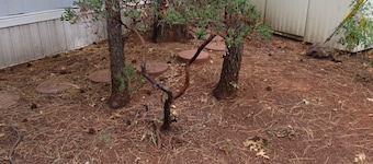 Beth`s Chalet in Pinetop