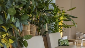 Un espace de détente moderne avec un canapé, des fauteuils et des plantes en pot.