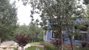 Ein Haus mit Teich, umgeben von Bäumen und einem Steinweg.