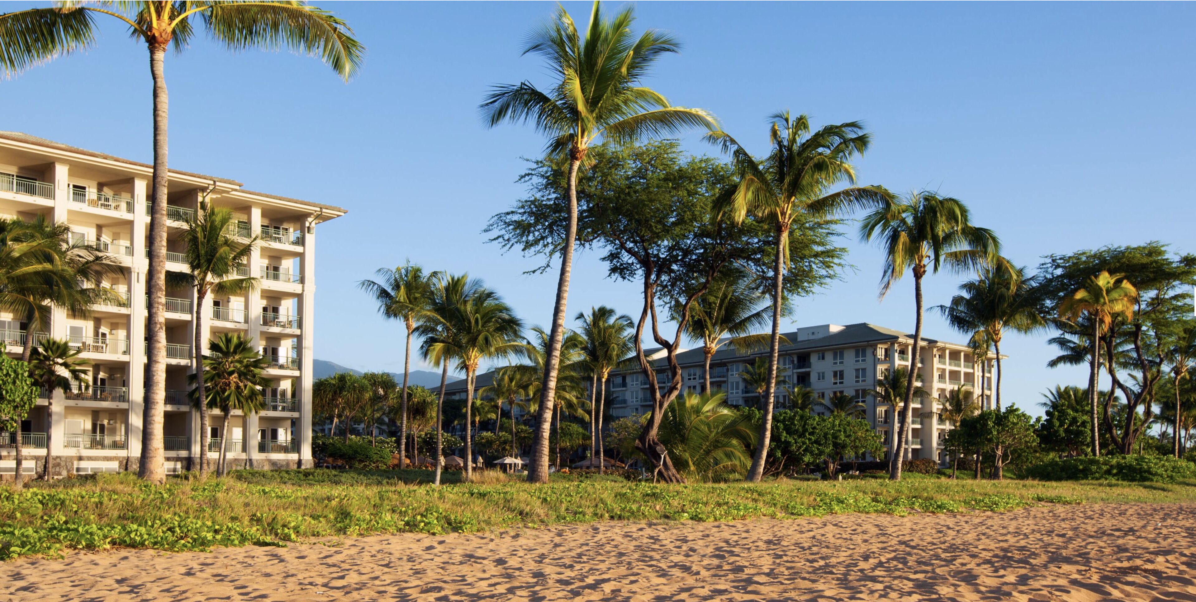 Lovely Two Bedroom Westin Ocean Villa Oceanfront Resort - Photo 10