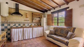 Televisie en een open haard