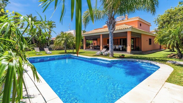 Une piscine rectangulaire bordée de carreaux, entourée d’une pelouse bien entretenue et de palmiers.
