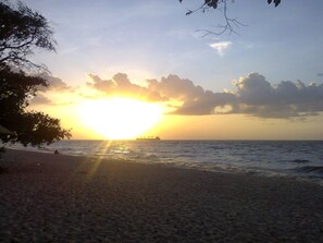 Playa