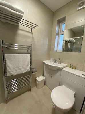 Shower, hair dryer, towels