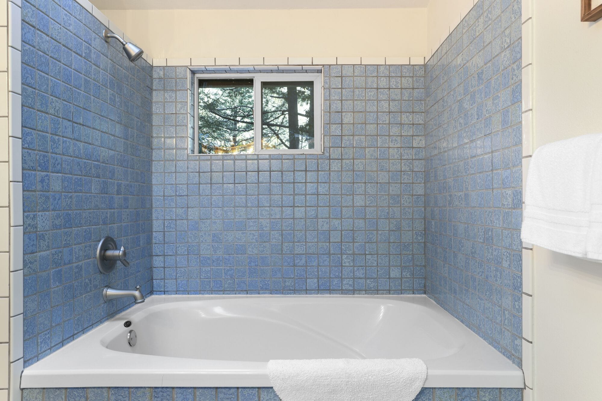 Combined shower/tub, hair dryer, towels