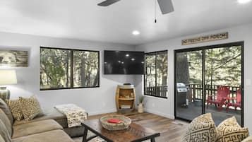 TV, DVD player, books, video library