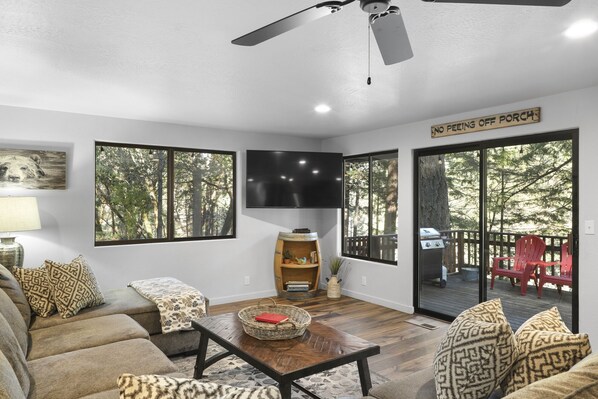 TV, DVD player, livros, videoteca