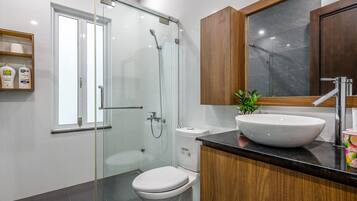 Shower, hair dryer, bidet, towels