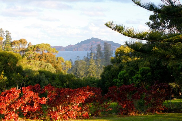 View of Phillip Island from wide deck