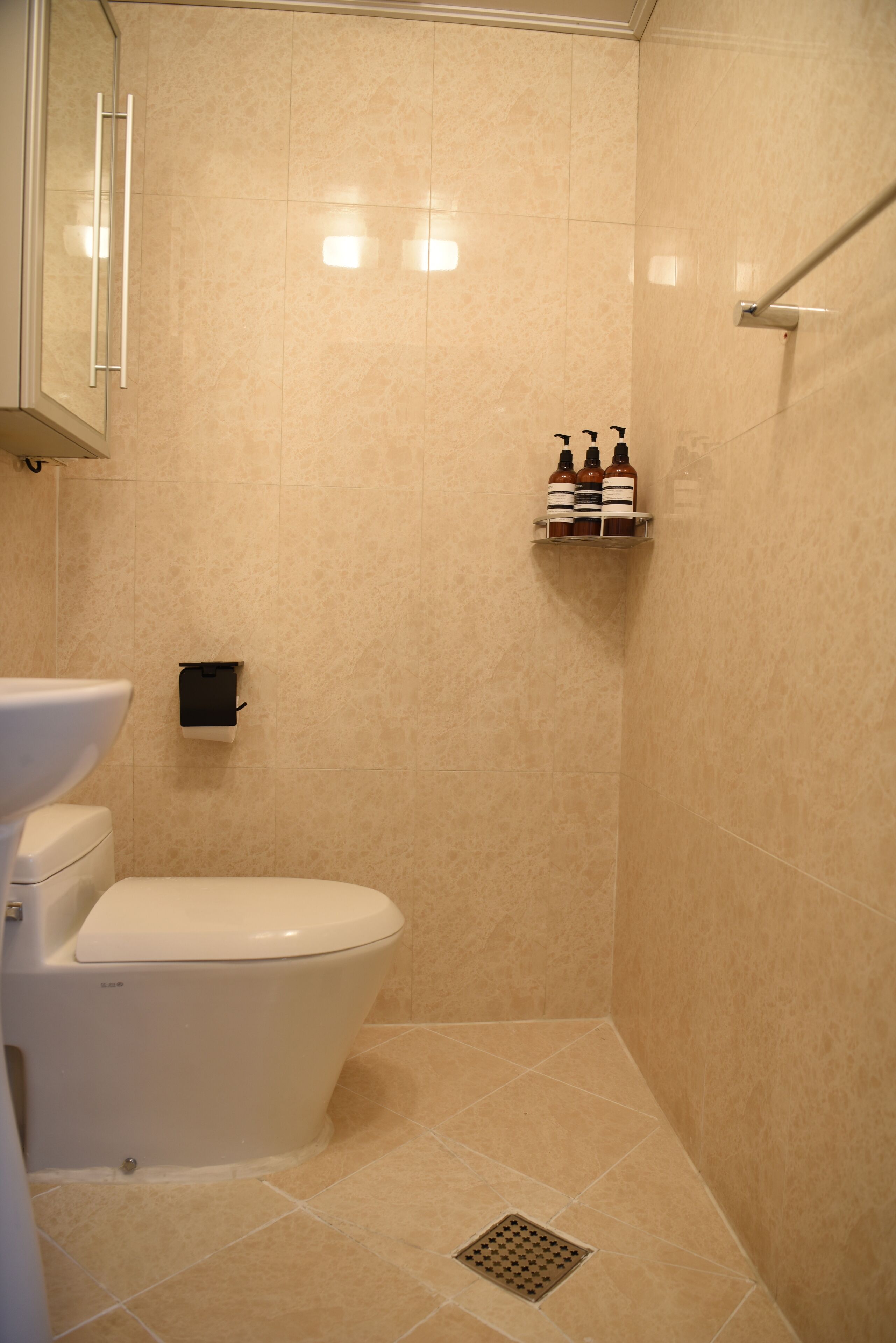 A bathroom with a toilet, a shelf with toiletries, and a shower area.