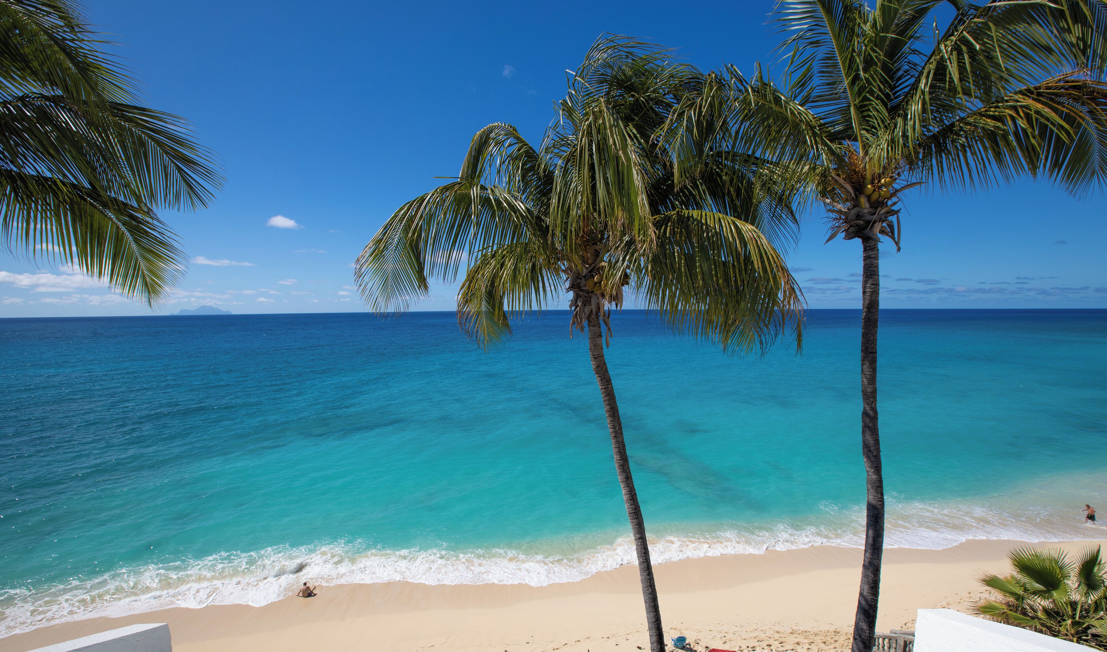 Une plage avec une eau d’un bleu limpide, des palmiers et une rive sablonneuse.