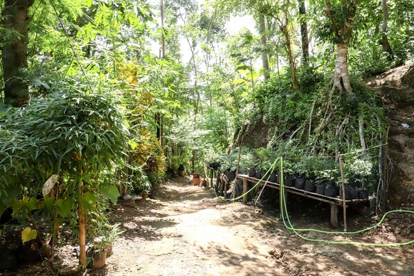 Jardin