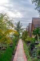 Un sendero bordeado de plantas en macetas y palmeras, que lleva a una hilera de edificios con tejado de baldosas.