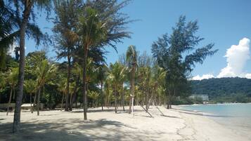 Una playa con palmeras y cielo despejado.