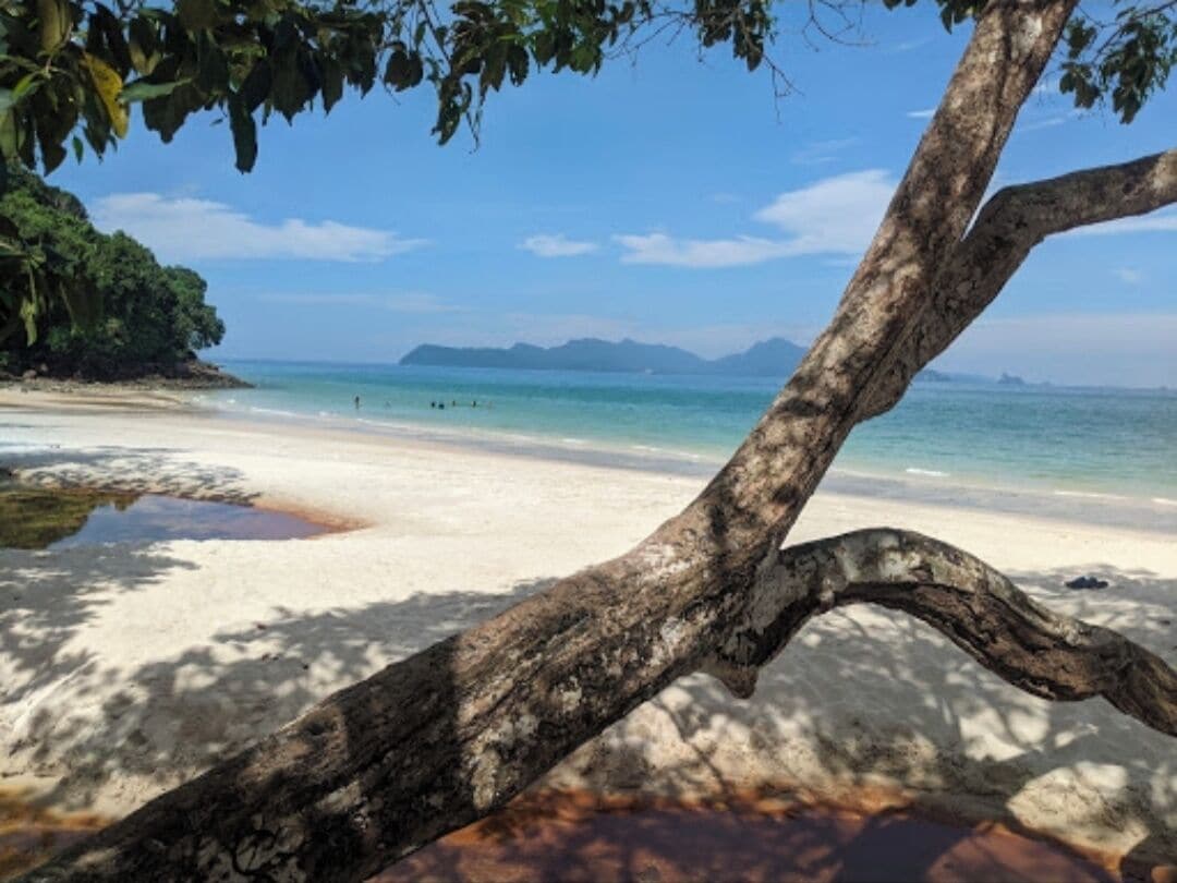 Beach