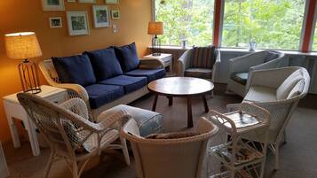 Smart TV, DVD player, books, video library