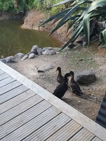 特色装修、特色家居、熨斗/熨板、免费 WiFi