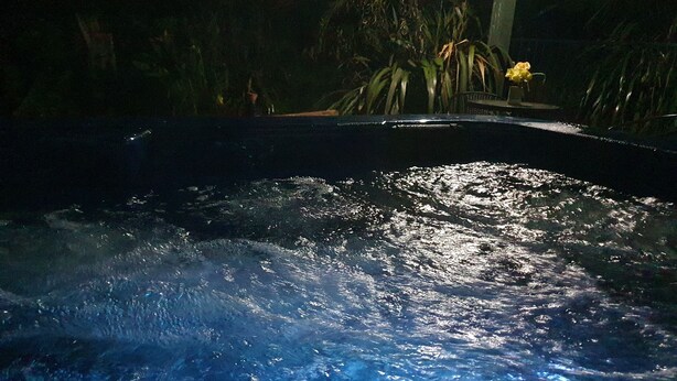 Une piscine remplie d’eau, entourée de plantes et agrémentée d’un banc.