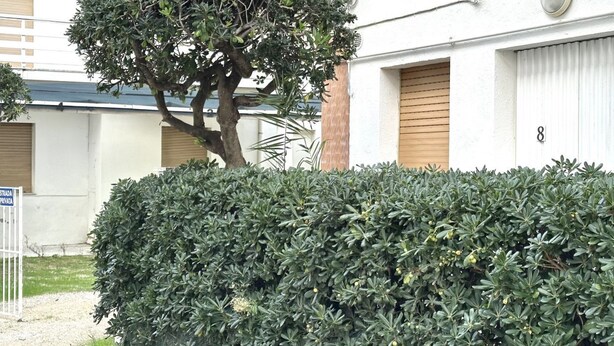 Ein Gebäude mit einem großen Baum, einer Hecke und einer Garagentür mit der Nummer 8.