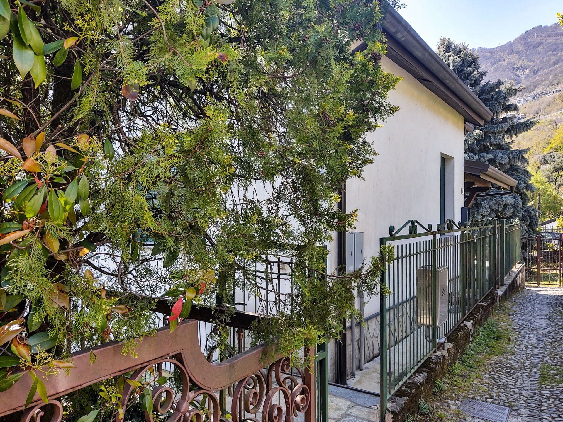 Plante, Bâtiment, Jour, Propriété, Fenêtre, Arbre, Maison, Bois, Biome, Clôture
