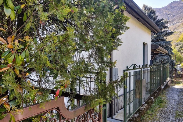 Plante, Bâtiment, Jour, Propriété, Fenêtre, Arbre, Maison, Bois, Biome, Clôture