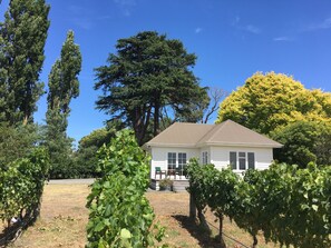 Exterior - Tuki Vineyard Cottage - luxury one bedroom villa overlooking vineyard (Havelock North)