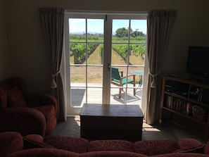 Smart TV, DVD player, books, video library